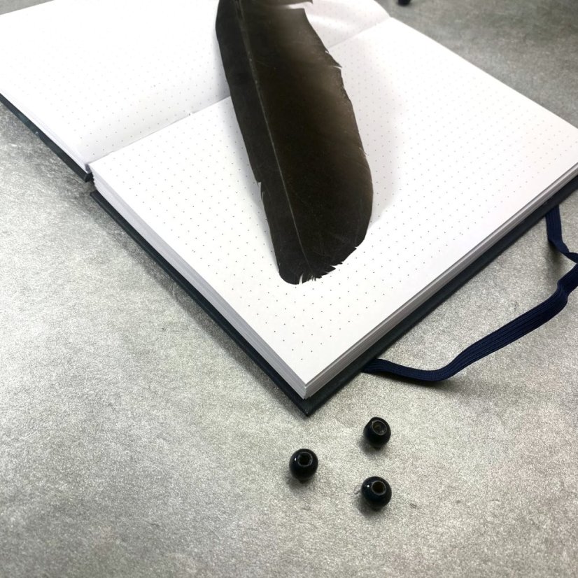 Tečkovaný zápisník Máky v krajině