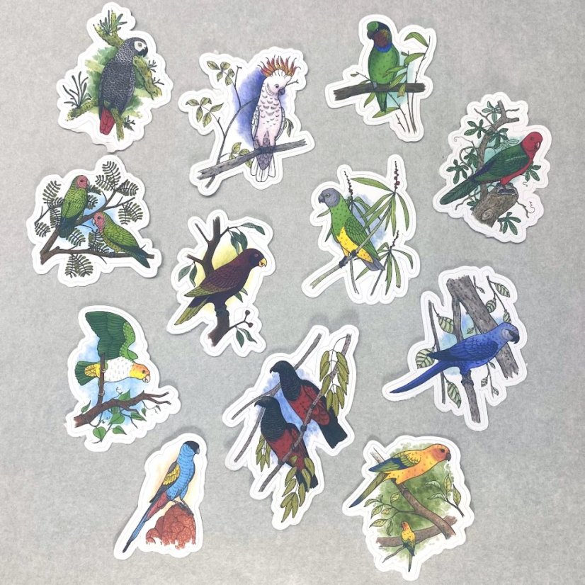 Papoušci - sada větších kusových samolepek