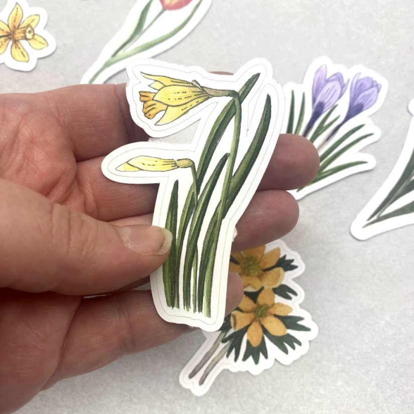 Jarní květiny - sada kusových samolepek