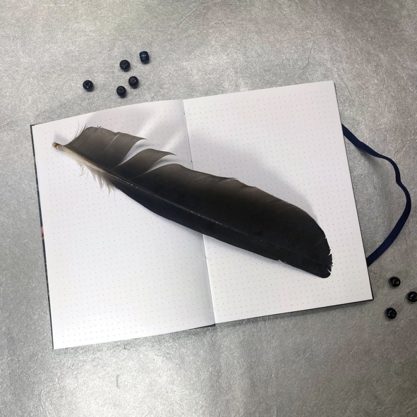 Tečkovaný zápisník Hvězdná obloha v horách