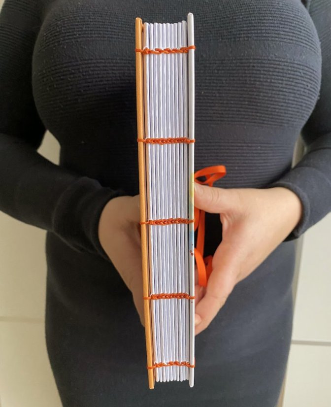 Tečkovaný zápisník A5: ledňáček v oranžovém