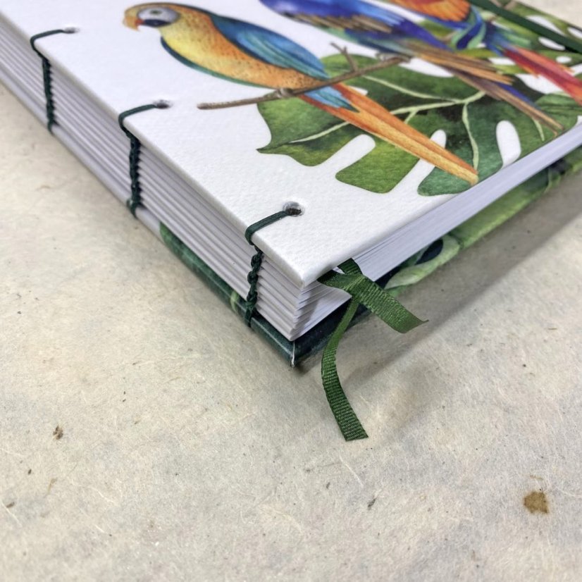 Tečkovaný zápisník Papoušci ara