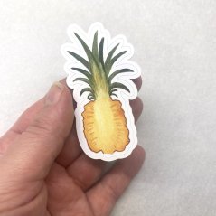 Ananas - samolepky Cesta kolem světa