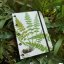 Tečkovaný zápisník A5: The ferns of Great Britain No.1