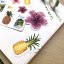 Ananas - samolepky Cesta kolem světa