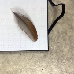 Tečkovaný zápisník Sova pálená v růžích