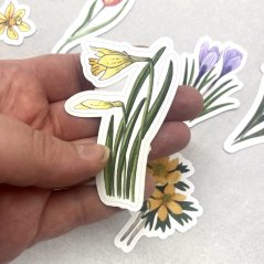 Jarní květiny - sada kusových samolepek