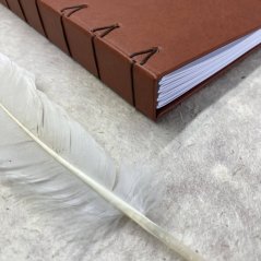 Tečkovaný zápisník s pevným hřbetem: Veverka