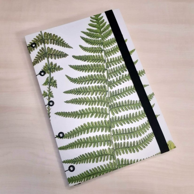 Zápisník A5+: The ferns of Great Britain No.10