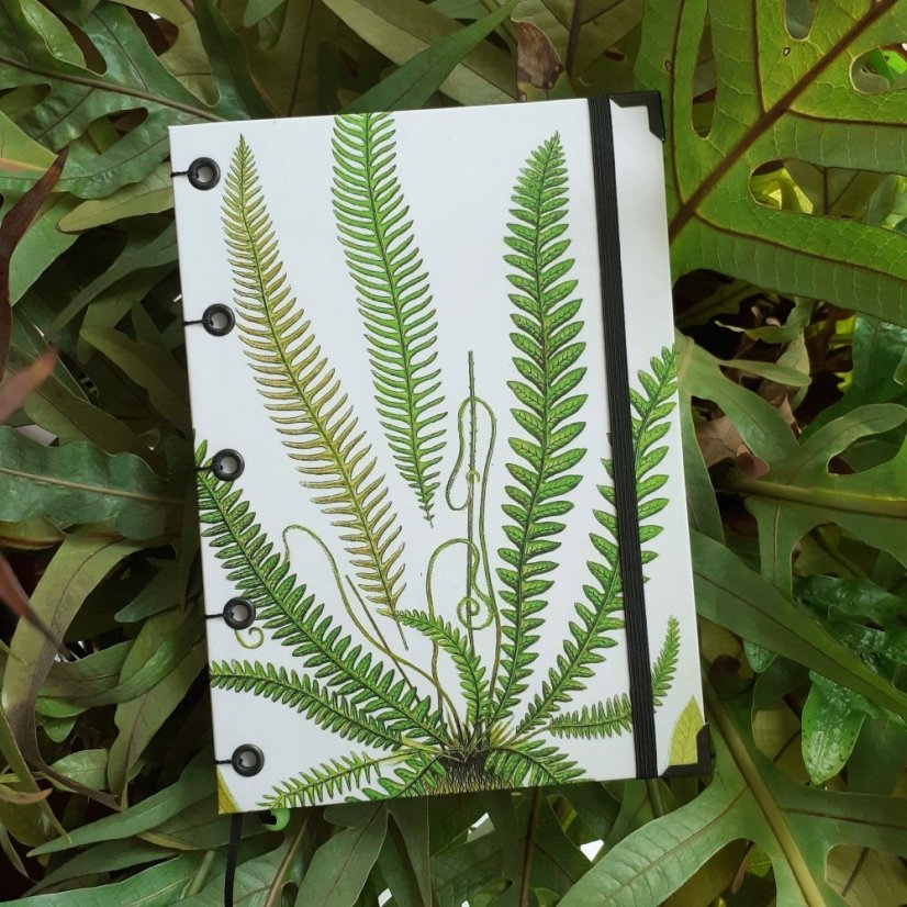 Tečkovaný zápisník A5:The ferns of Great Britain No.8