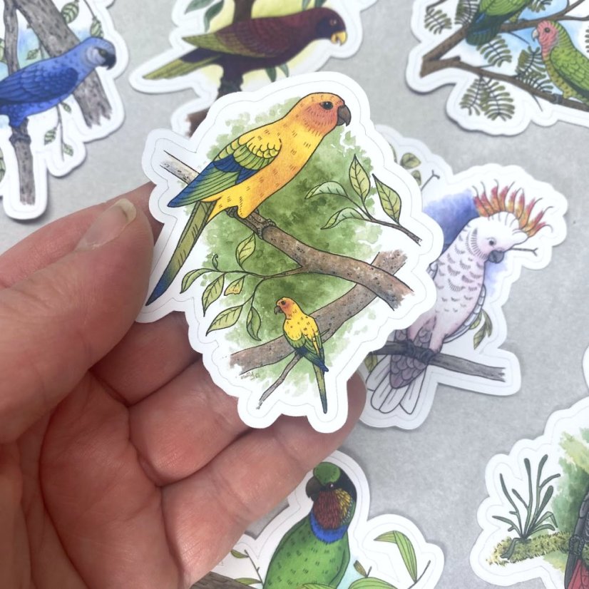 Papoušci - sada větších kusových samolepek