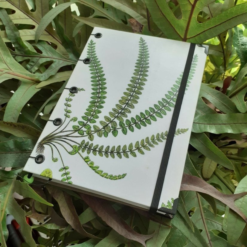 Tečkovaný zápisník A5: The ferns of Great Britain No.3