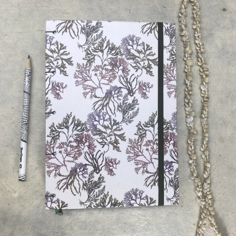 Tečkovaný zápisník s chaluhami + kolekce samolepek Papuchalk