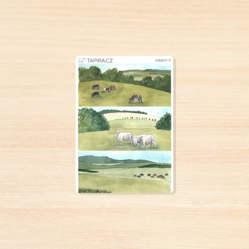 Krávy - vzor: F