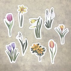 Jarní květiny - sada kusových samolepek