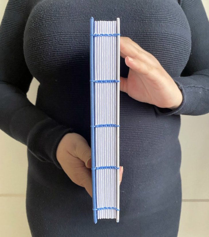 Tečkovaný zápisník A5: ledňáček v modrém