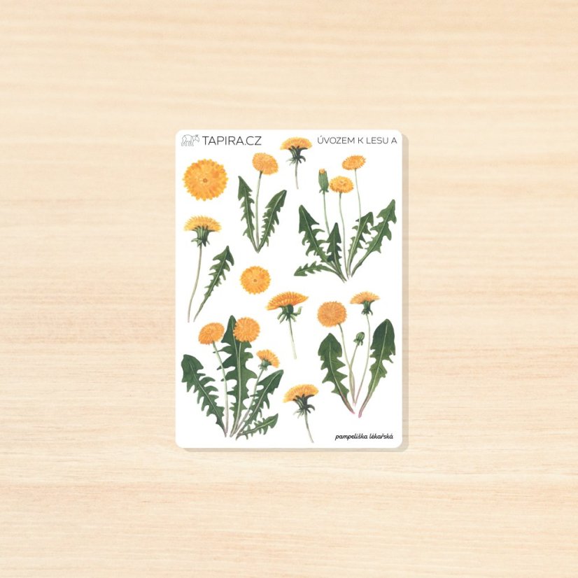 Úvozem k lesu - vzor: A