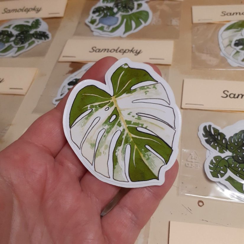 Samolepky monstera 3 ks