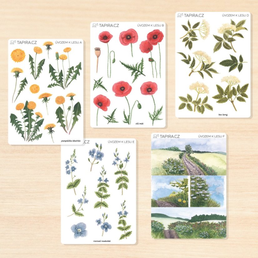 Úvozem k lesu - vzor: I