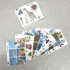 Samolepky z aršíkového adventního kalendáře 2025