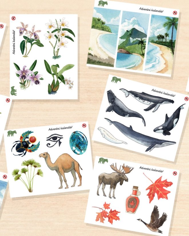 Samolepky z aršíkového adventního kalendáře 2025