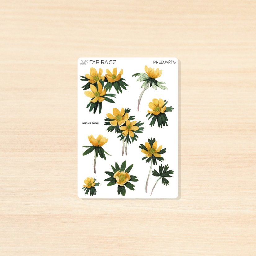 Předjaří - vzor: G