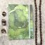 Tečkovaný zápisník A5 Green drops No.5