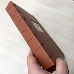 Little fawn: srneček