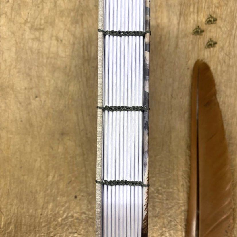 Tečkovaný zápisník Medvědí stezkou k řece