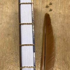 Tečkovaný zápisník Medvědí stezkou horami