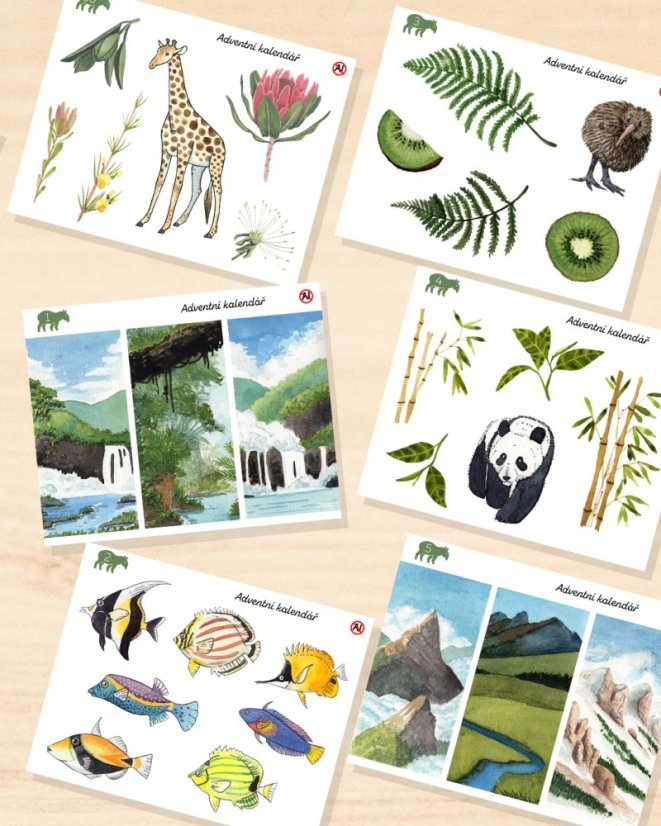 Samolepky z aršíkového adventního kalendáře 2025