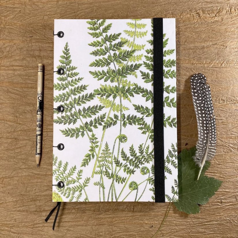 Zápisník A5+: The ferns of Great Britain No.5