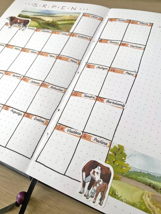 Jmeniny - samolepky s "psacím" písmem - období: celý rok