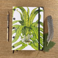 Tečkovaný zápisník A5: The ferns of Great Britain No.6