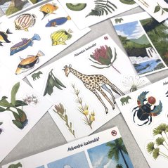 Samolepky z aršíkového adventního kalendáře 2025