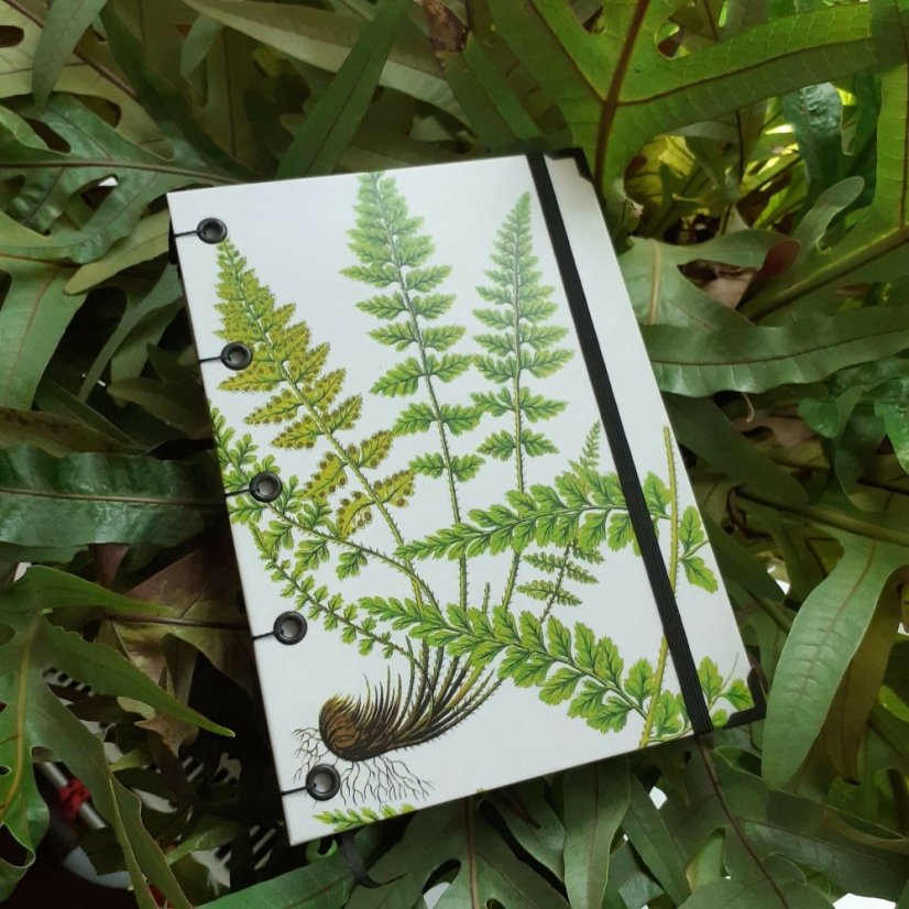 Tečkovaný zápisník A5:  The ferns of Great Britain No.1