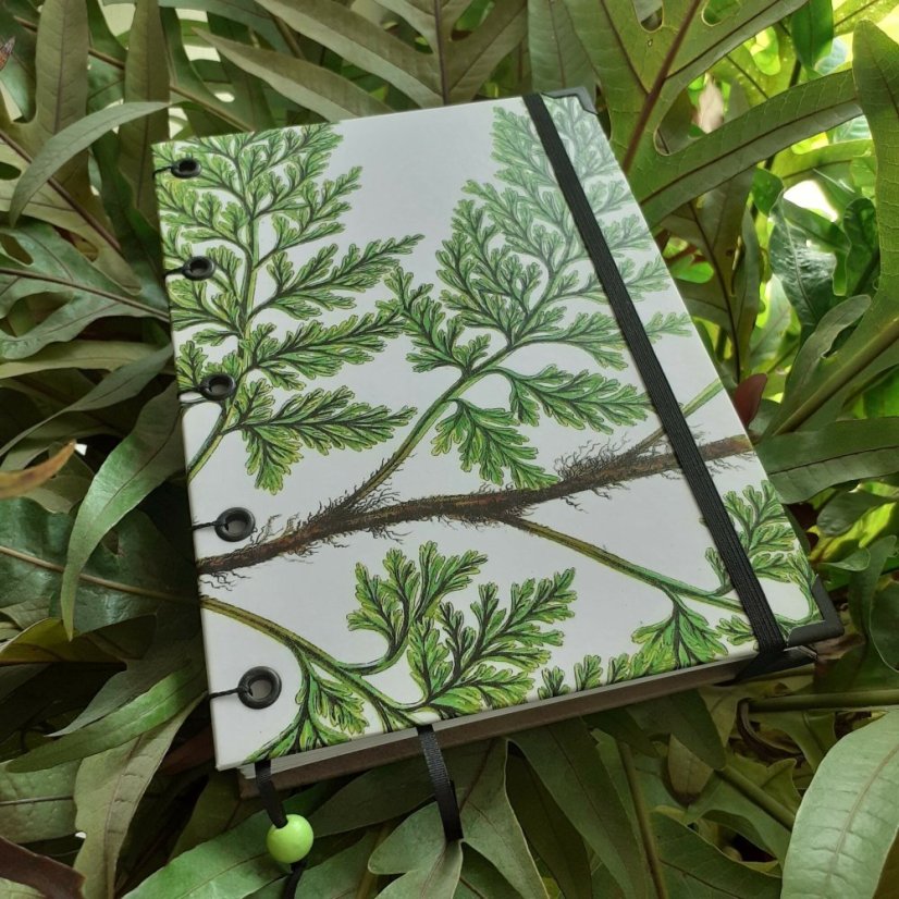 Tečkovaný zápisník A5: The ferns of Great Britain No.7