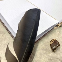 Tečkovaný zápisník Mezi listovím