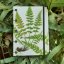 Tečkovaný zápisník A5: The ferns of Great Britain No.1