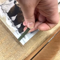 Tečkovaný zápisník Medvědí stezkou v mlžných horách