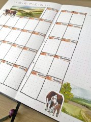 Jmeniny - samolepky s "psacím" písmem