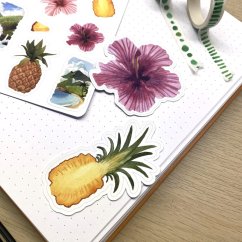 Ananas - samolepky Cesta kolem světa