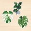 Samolepky monstera 3 ks