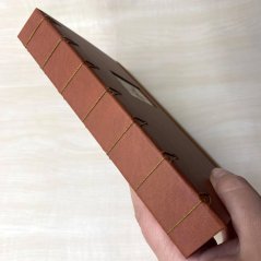 Little fawn: srneček v trávě