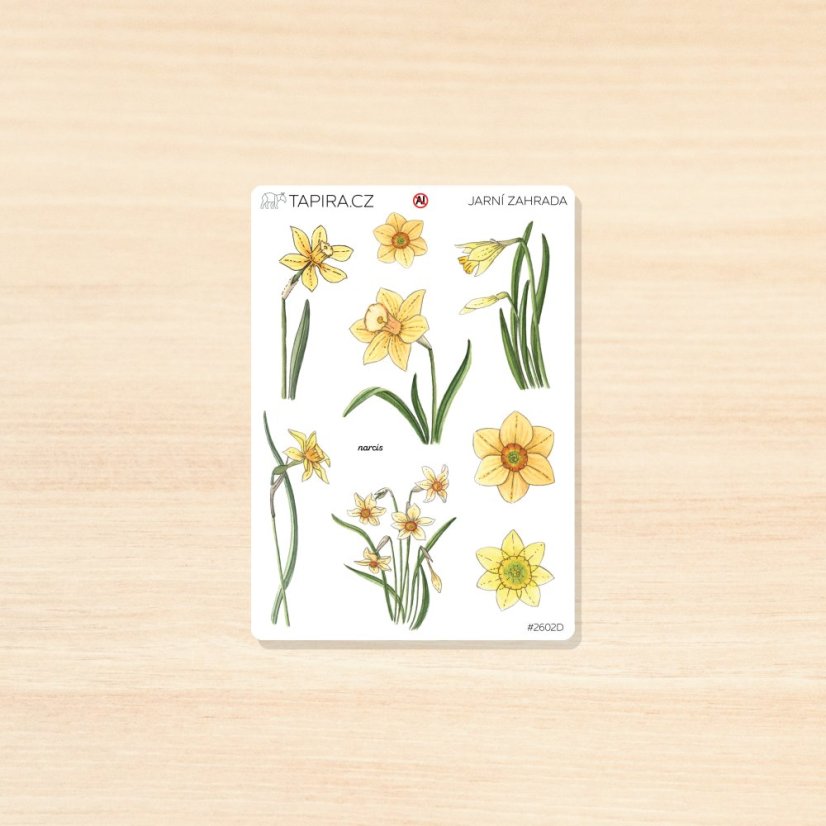 Jarní zahrada - vzor: narcis