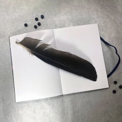 Tečkovaný zápisník Klíček do nového světa