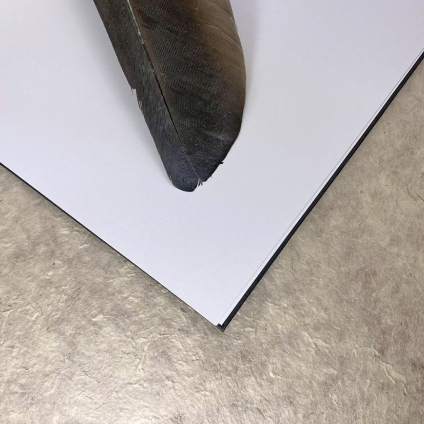 Zápisník A5+: Tropické listy