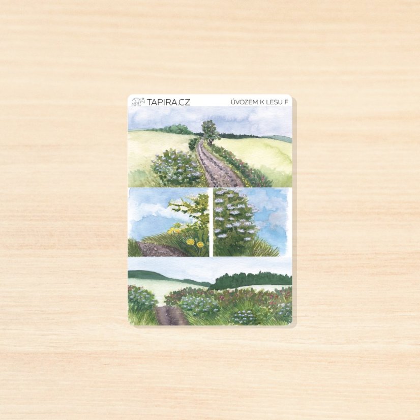 Úvozem k lesu - vzor: F