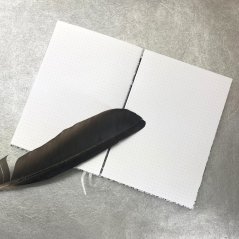 Tečkovaný zápisník Stříbrné monstery