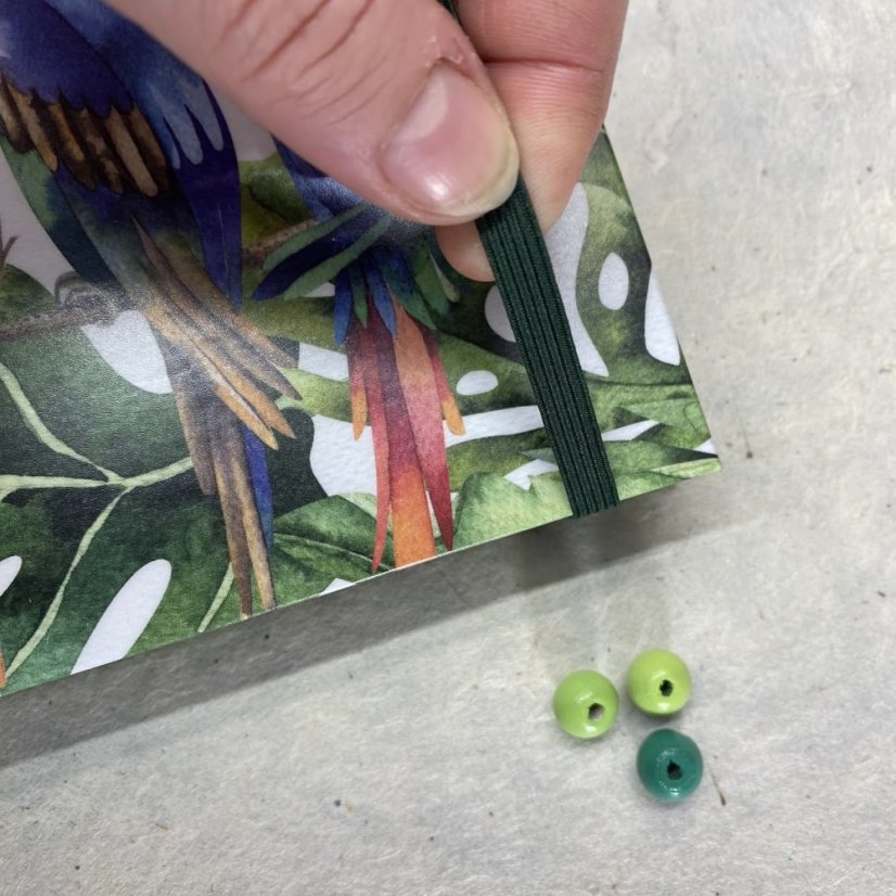 Tečkovaný zápisník Papoušci ara